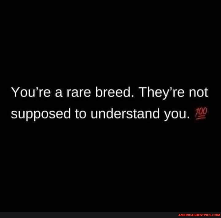 You're a rare breed. They're not supposed to understand you.