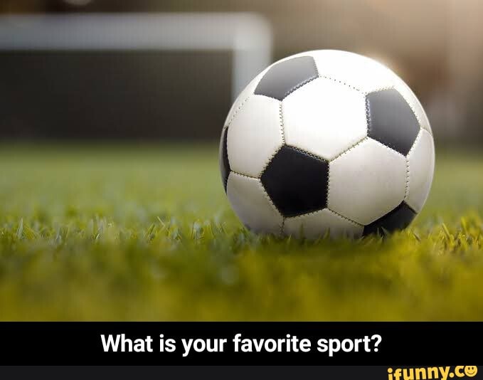 What is your favorite sport? - What is your favorite sport?
