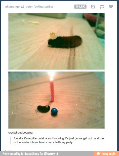 'crystalizedcocaine:
found a Caterpillar outside and knowing it's just gonna get cold and die
in the winter i theew him or her a birthday party