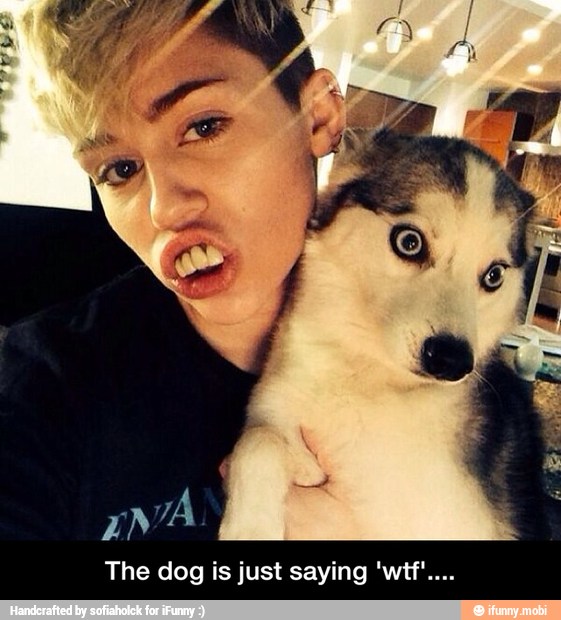 The dog is just saying 'wtf'....