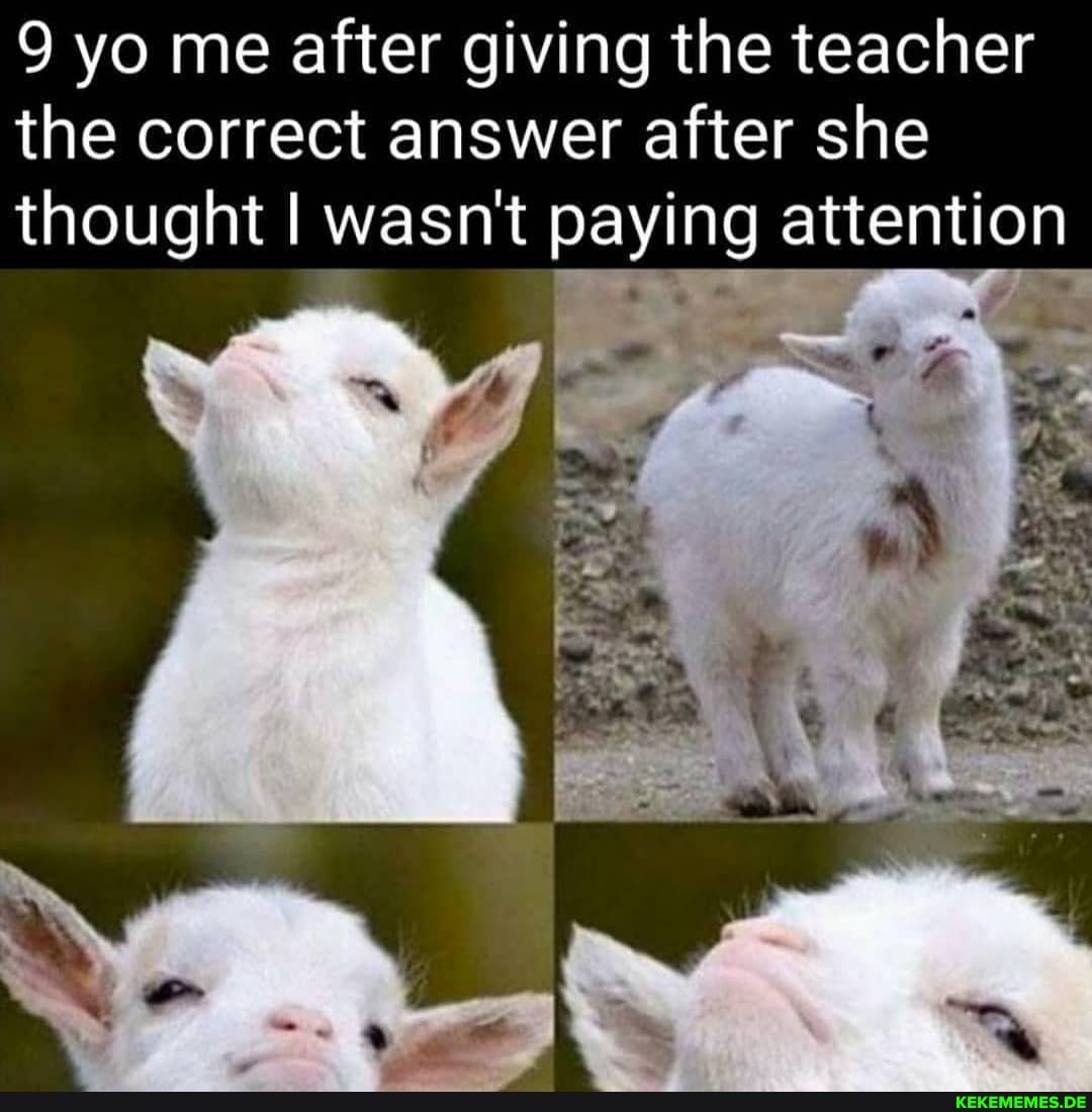 9 yo me after giving the teacher the correct answer after she thought I wasn't paying attention