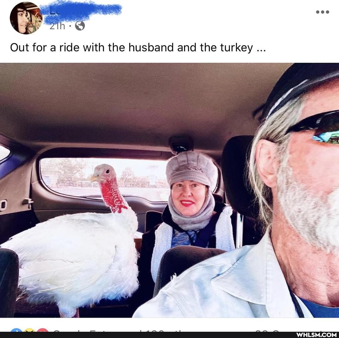 Out for a ride with the husband and the turkey