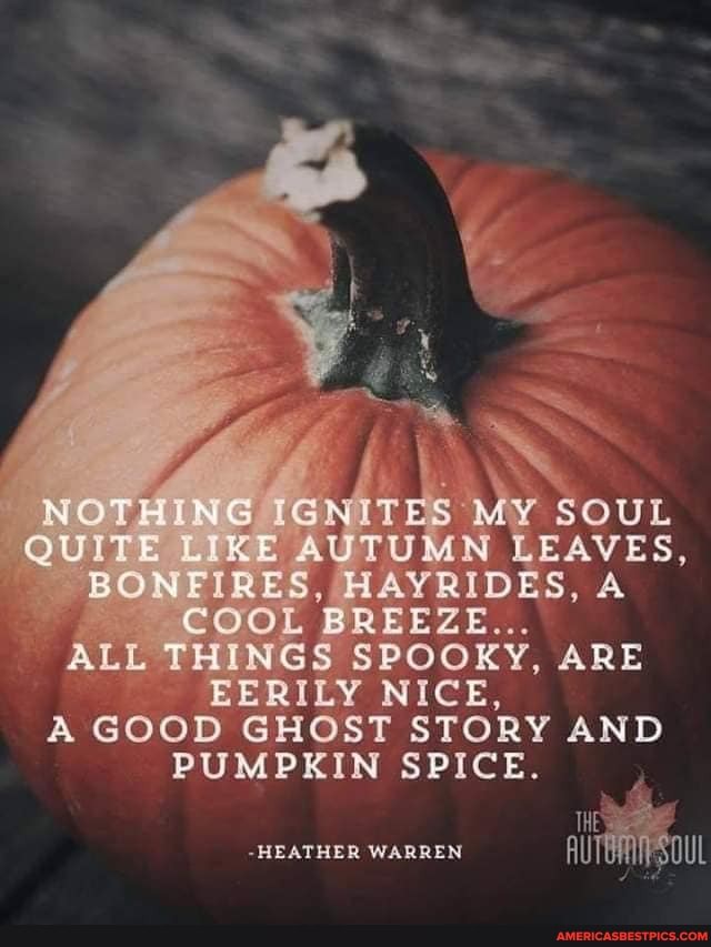 NOTHING MY SOUL QUITE LIKE AUTUMN LEAVES,
BONFIRES, HAYRIDES, A COOL BREEZE...
ALL THINGS SPOOKY, ARE EERILY NICE,
A GOOD GHOST STORY AND PUMPKIN SPICE
-HEATHER WARREN