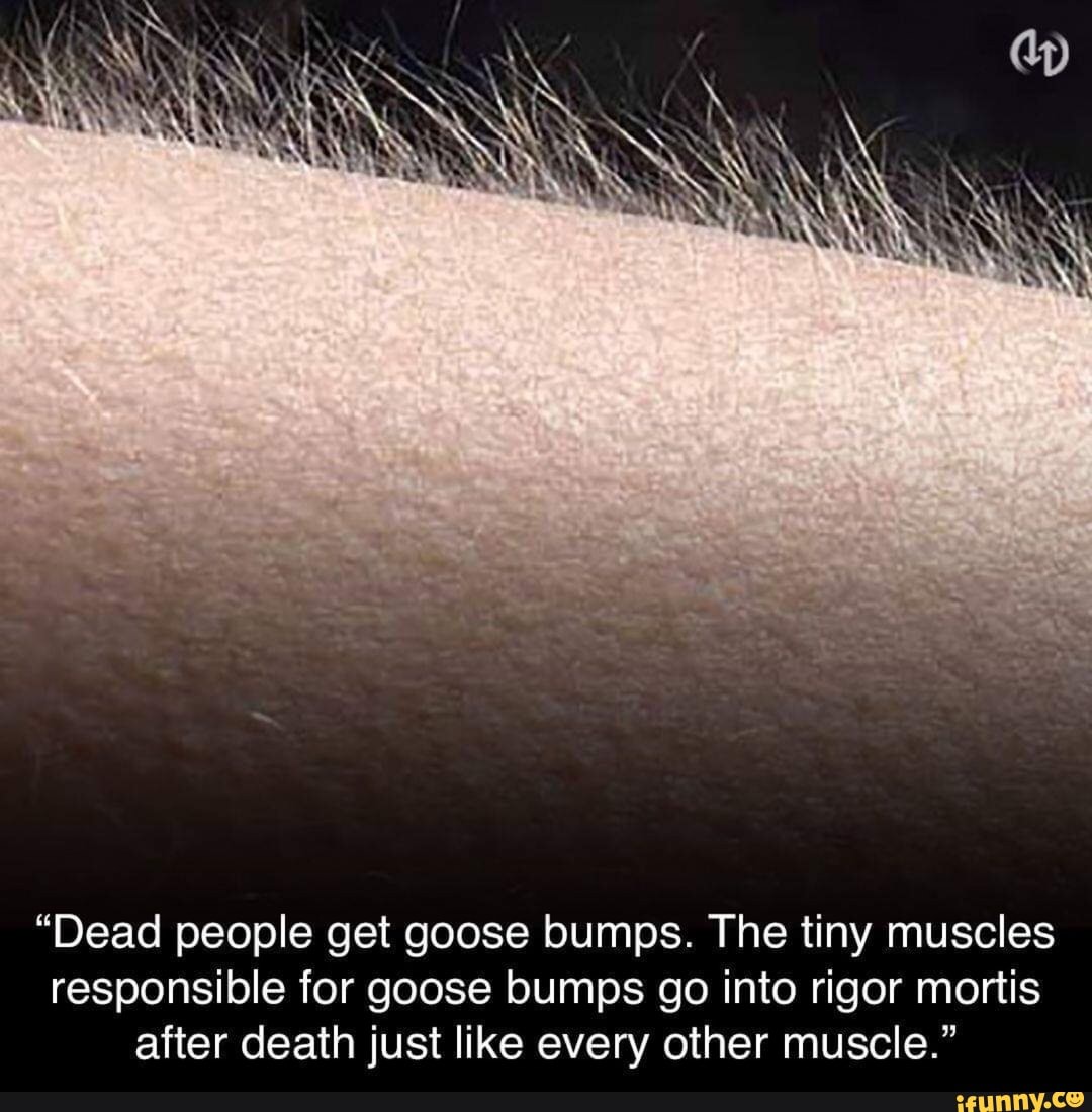 Goose bumps gif