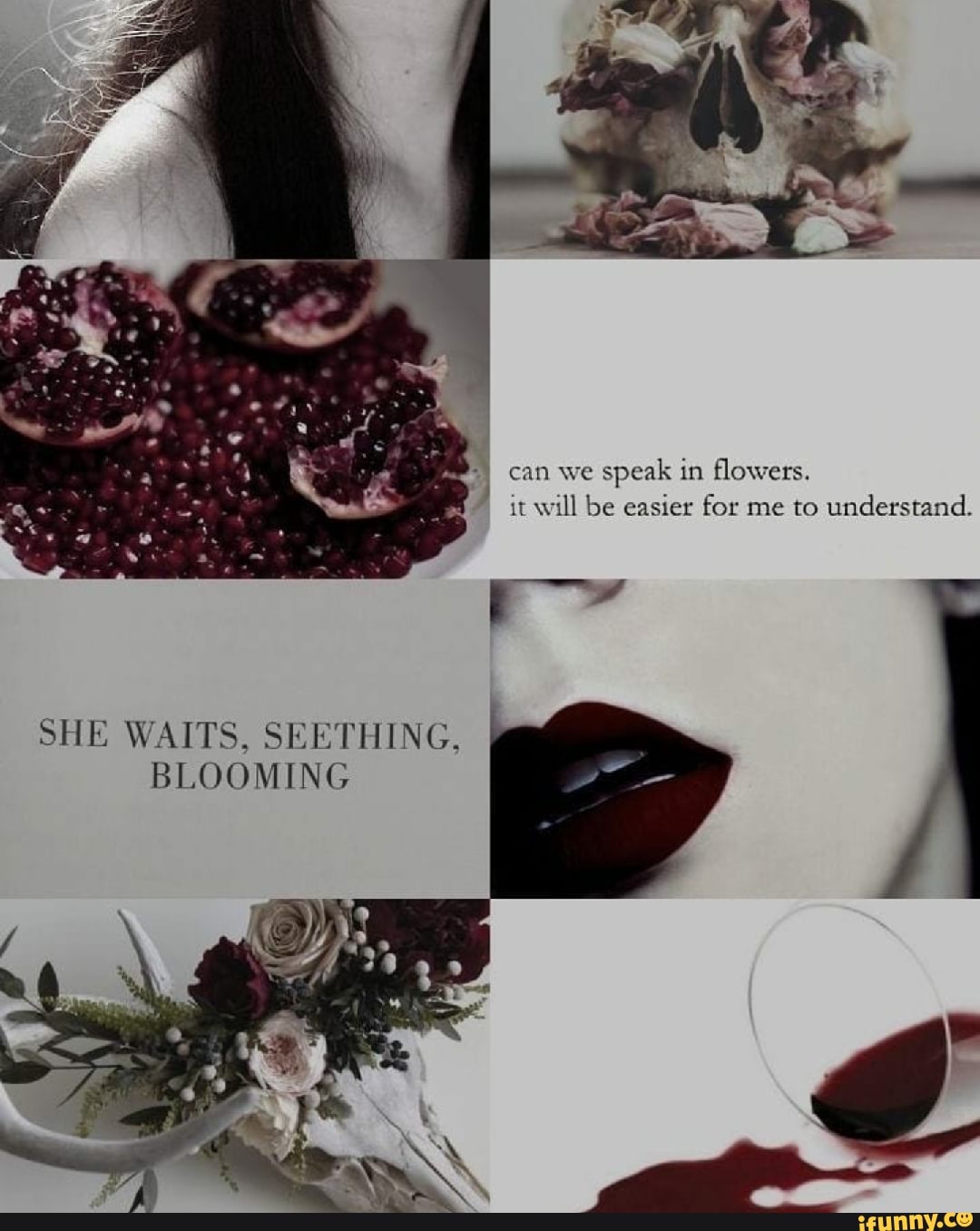 Can we speak in flowers. it will be easier for me to understand. SHE