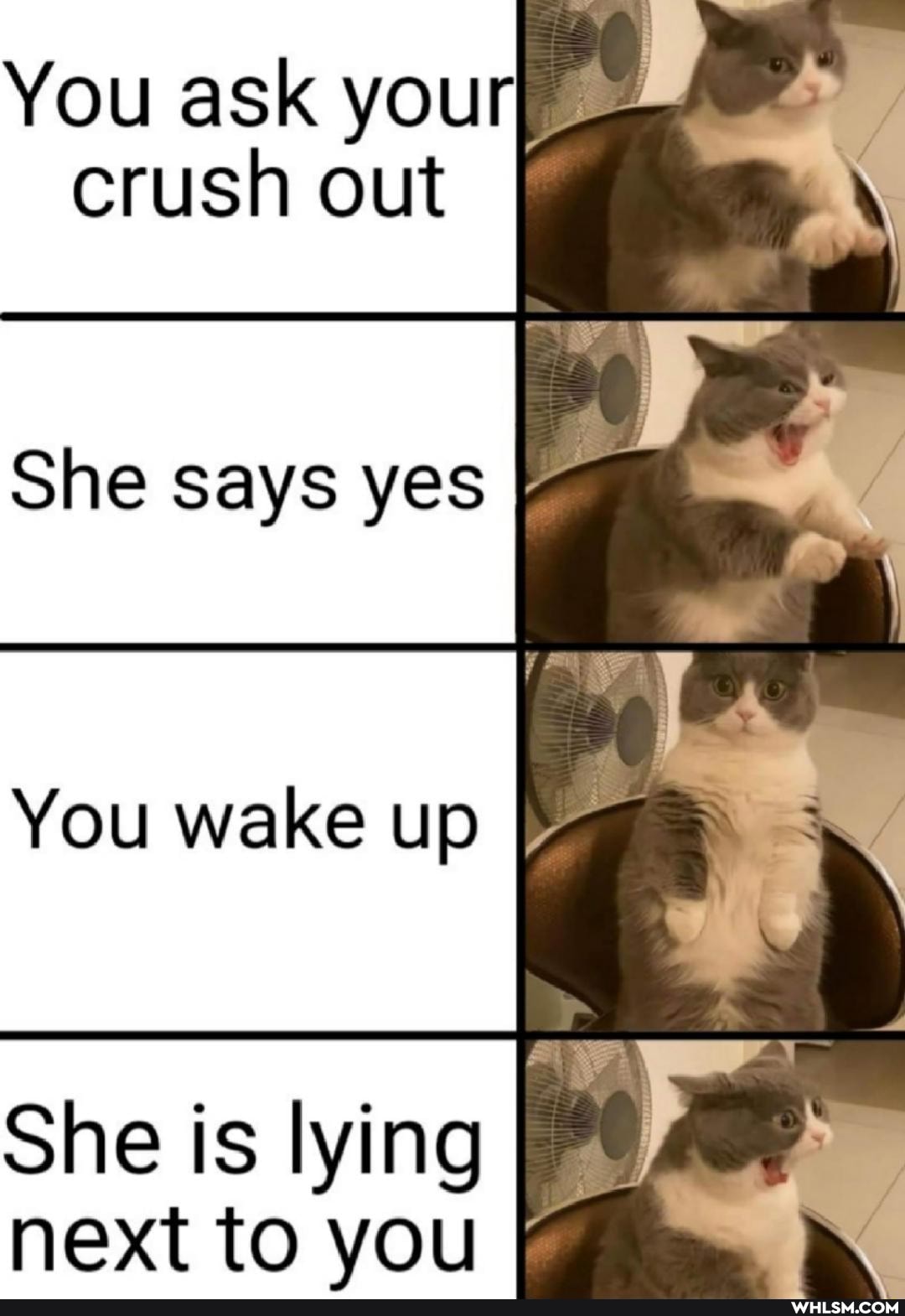 You ask you crush out
She says yes
You wake up
She is lying next to you