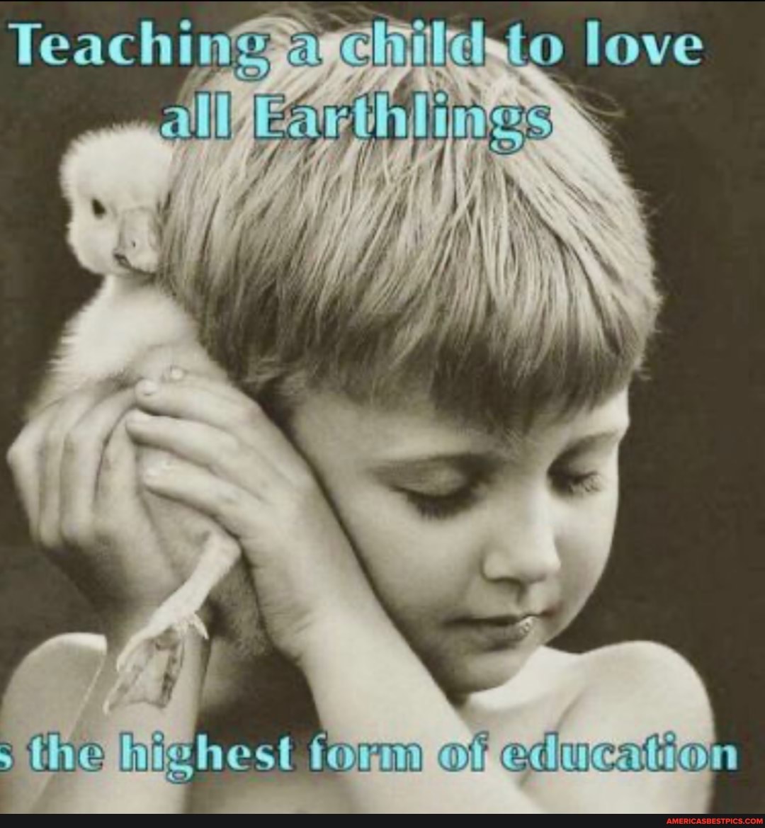 Teaching clato love
the hie rm of education