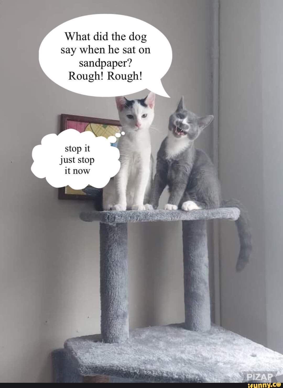 What did the dog say when he sat on sandpaper? Rough! Rough! stop it just stop it now )