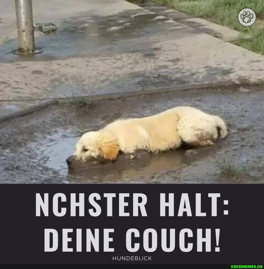__NCHSTER HALT:
DEINE COUCH!