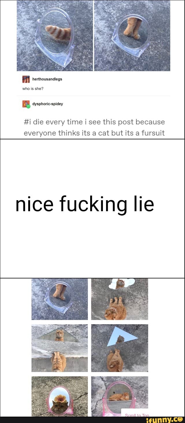 #i die every time i see this post because
everyone thinks its a cat but its a fursuit
nice fucking lie