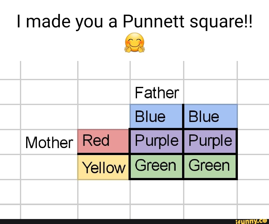 Punnett Memes Best Collection Of Funny Punnett Pictures On IFunny