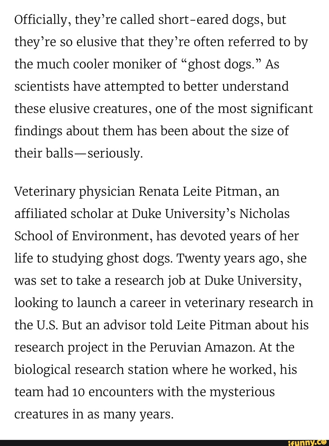 Ghost Dogs They’re good puppers Officially, they're called short