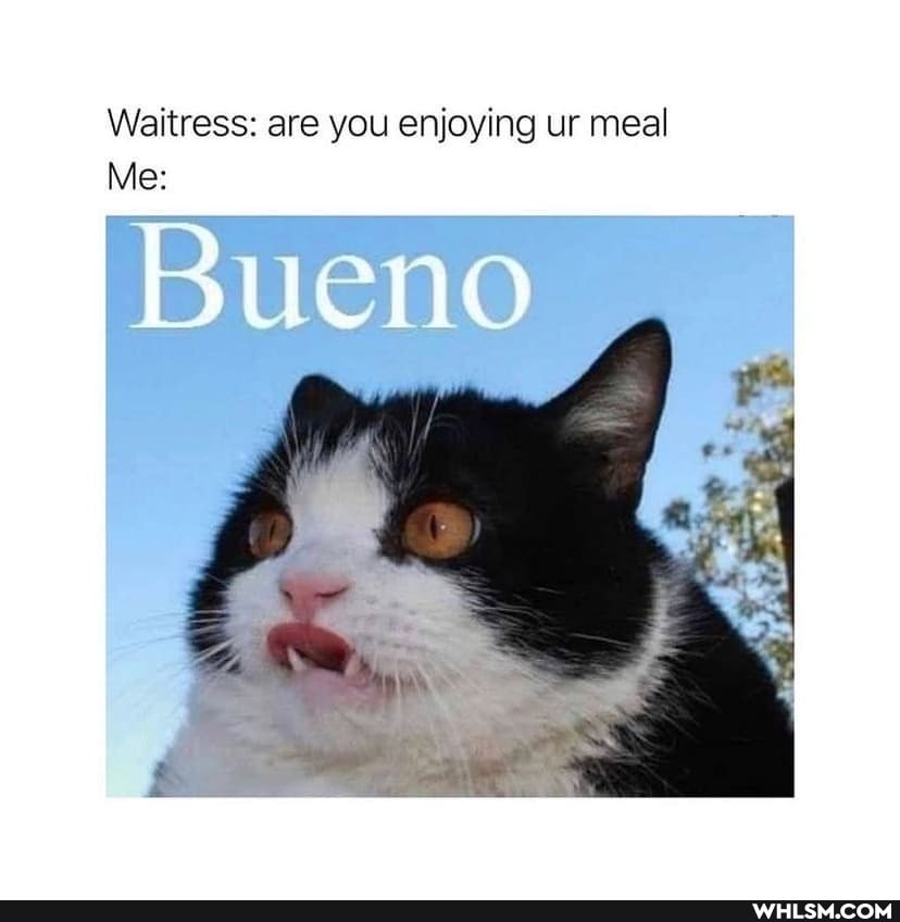 Waitress: are you enjoying ur meal
Me:
Bueno
if
