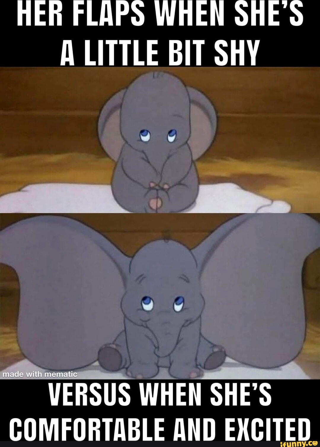 Flaps memes. Best Collection of funny Flaps pictures on iFunny
