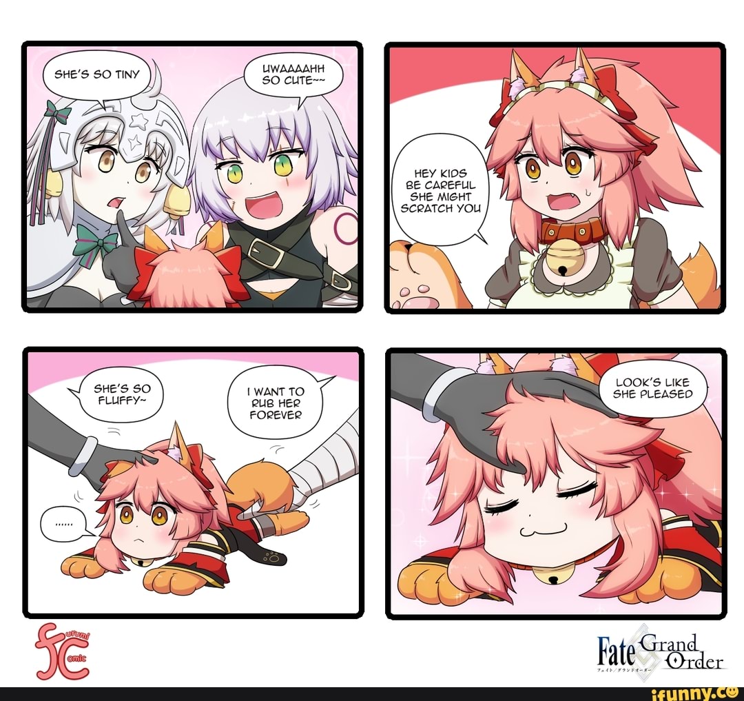 Fate memes 