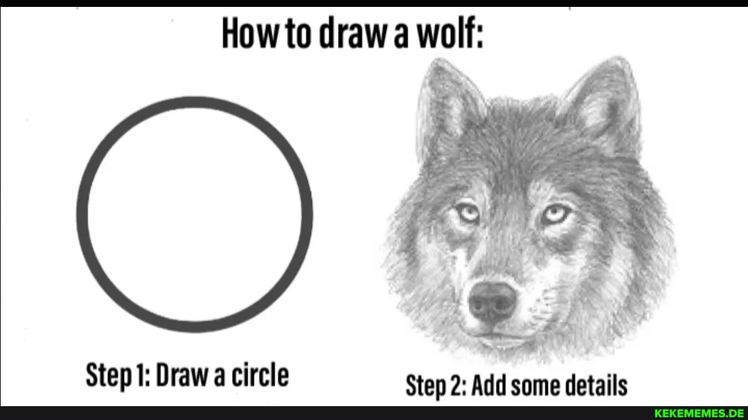 How to draw a wolf Step 1 Draw circle Step 2 Add some details Memes