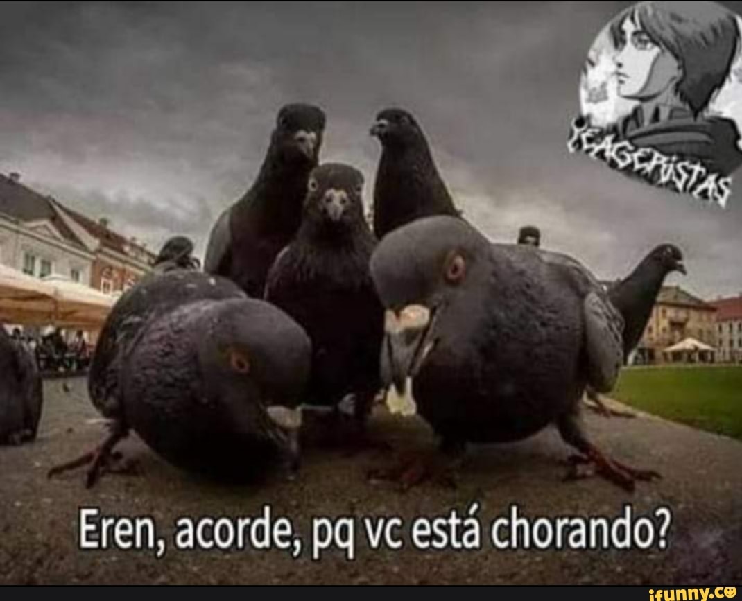 Eren, acorde, pq vc está chorando?