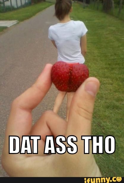 This is adorable :)