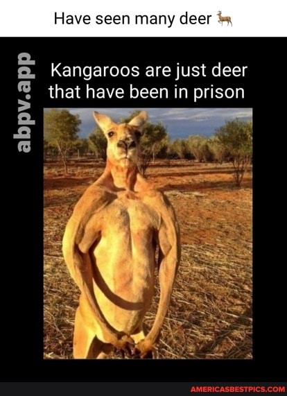 Have seen many deer
Kangaroos are just deer that have been in prison
abpv.app
