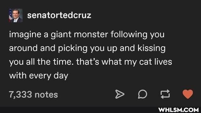 imagine a giant monster following you around and picking you up and kissing you all the time. that's what my cat lives with every day
7,333 notes