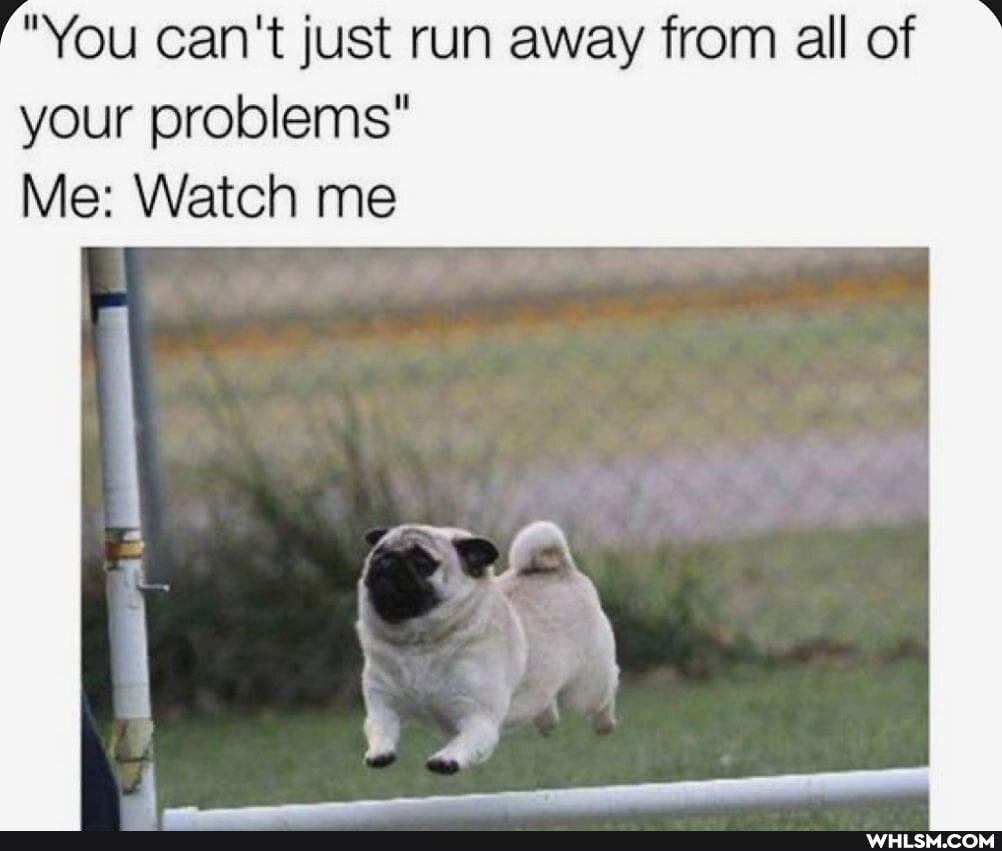 "You can't just run away from all of your problems"
Me: Watch me