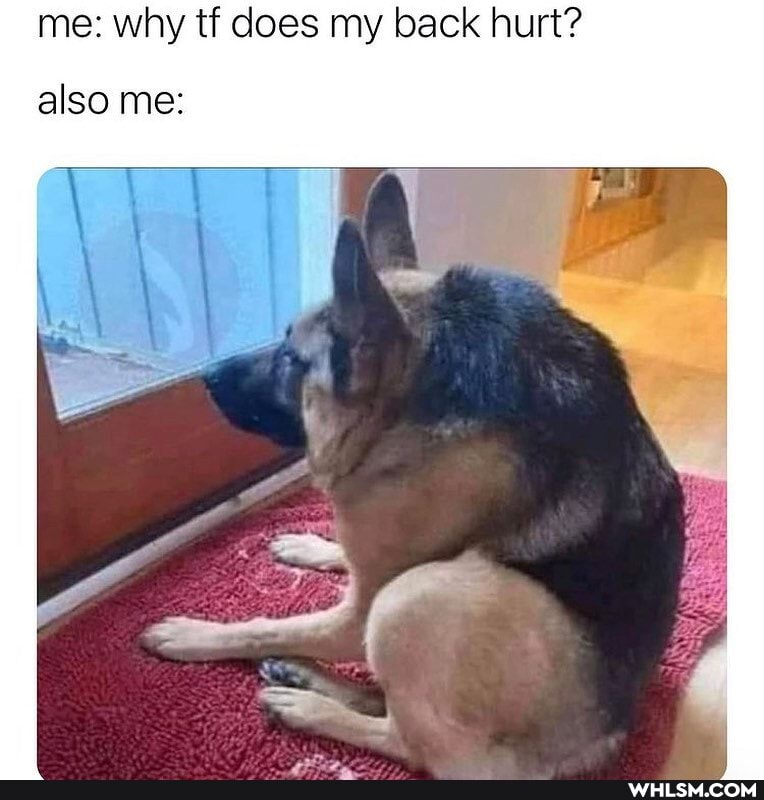 me: why tf does my back hurt?
also me: