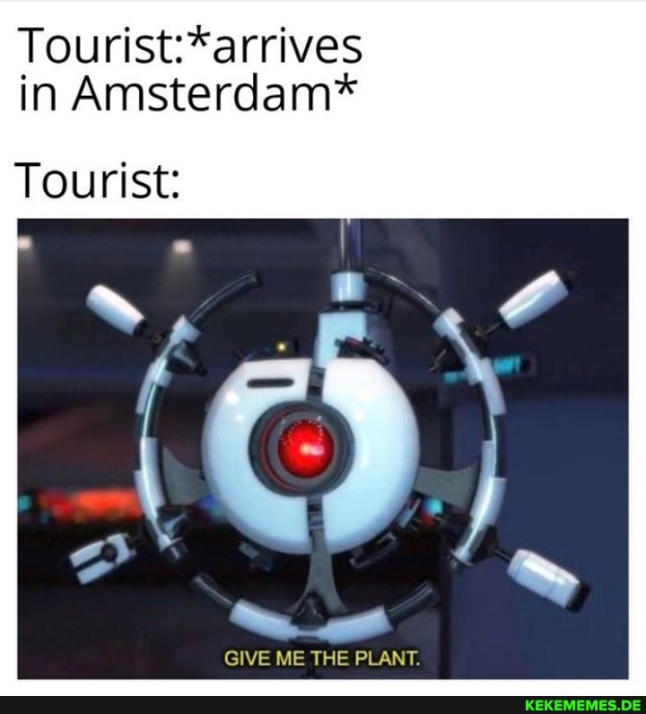 in Amsterdam*
Tourist:
GIVE ME THE PLANT.