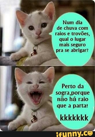 a Num dia
é raios e
trovões,
qual o lugar
mais seguro
pra se abrigar?
sogra, porque
não há raio
que a parta!