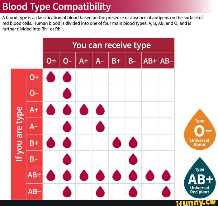 Blood Type Compatibility A blood typeis a classification of blood based ...