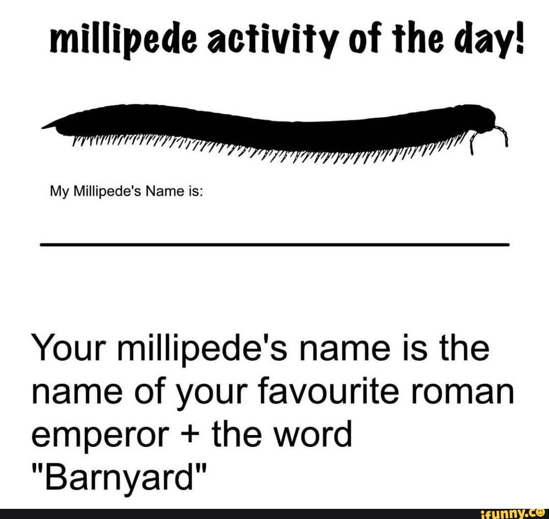 millipede-activity-of-the-day-my-millipede-s-name-is-your-millipede-s