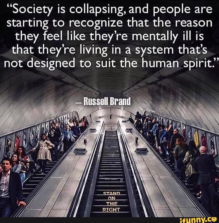 "Society Is Collapsing,and People Are Starting To Recognize That The ...