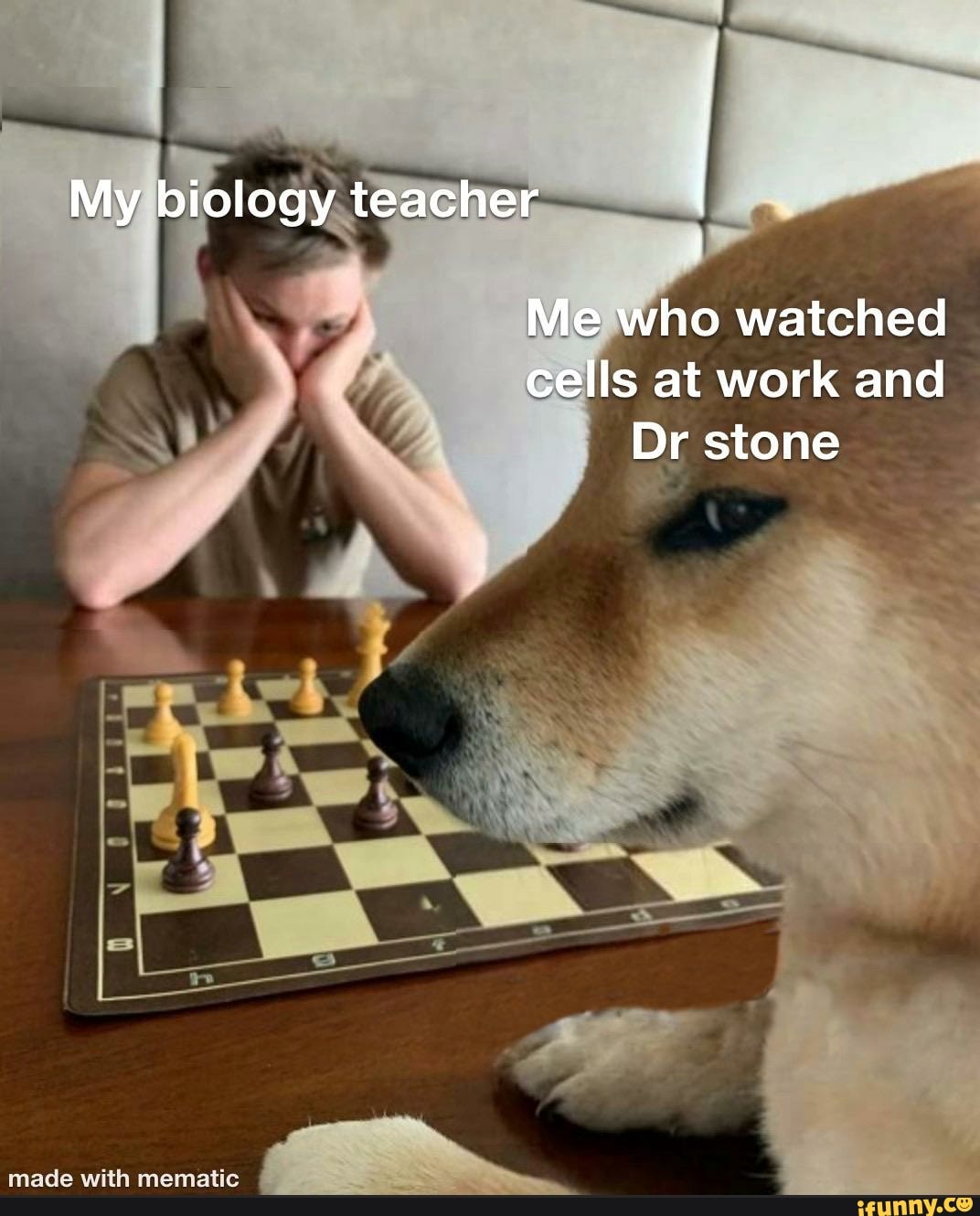 eswho watched
cells at work and
Dr stone