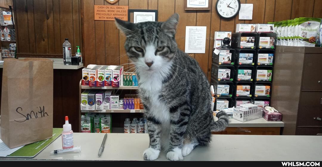 CASH ON ALL SMALL ANIMAL WORK UNLESS PREVIOUSLY ARRANGED
\Ag