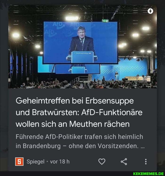 Geheimtreffen bei Erbsensuppe und Bratwürsten: AfD-Funktionäre wollen sich an Meuthen rächen
Führende AfD-Politiker trafen sich heimlich in Brandenburg - ohne den Vorsitzenden.
Ei Spiegel - vor )