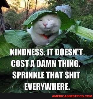 KINDNESS: IT DOESN'T.
COST DAMN THING.
SPRINKLE THAT SHIT EVERYWHERE.