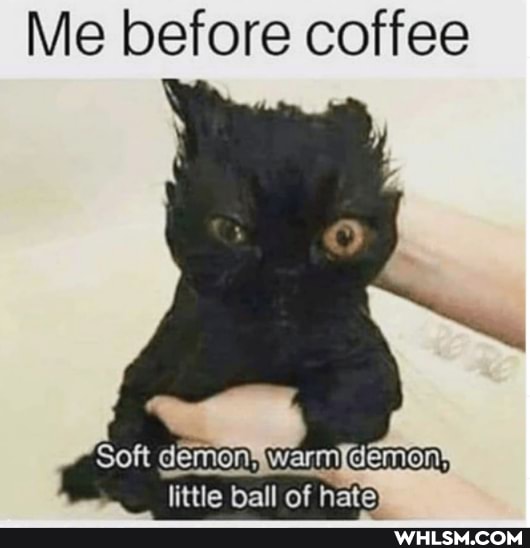 Me before coffee
Soft
m fittie ball ball of Rata Aate