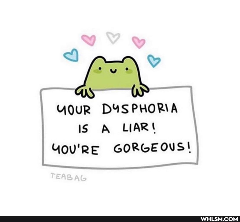 YouR DYSPHORIA IS A LIAR You'RE GORGEOUS!