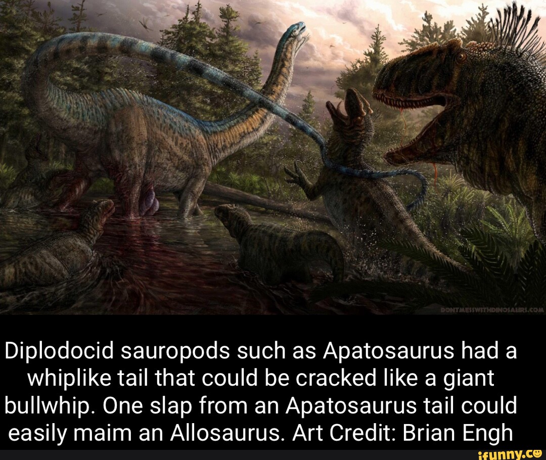 Diplodocid sauropods such as Apatosaurus had a whiplike tail that could ...