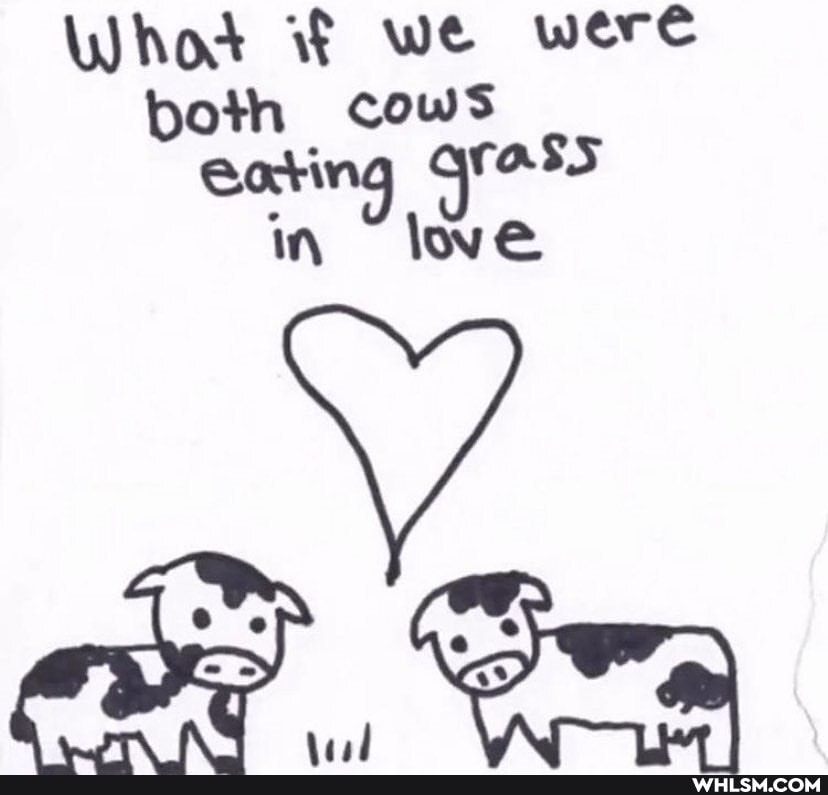 What we were both cows in we
ac