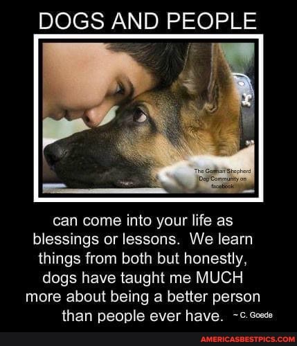 DOGS AND PEOPLE
can come into your life as blessings or lessons. We learn things from both but honestly, dogs have taught me MUCH more about being a better person than people ever have,