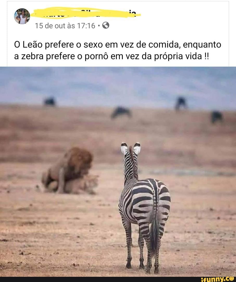 15 de out
O Leão prefere o sexo em vez de comida, enquanto a zebra prefere o pornô em vez da própria vida