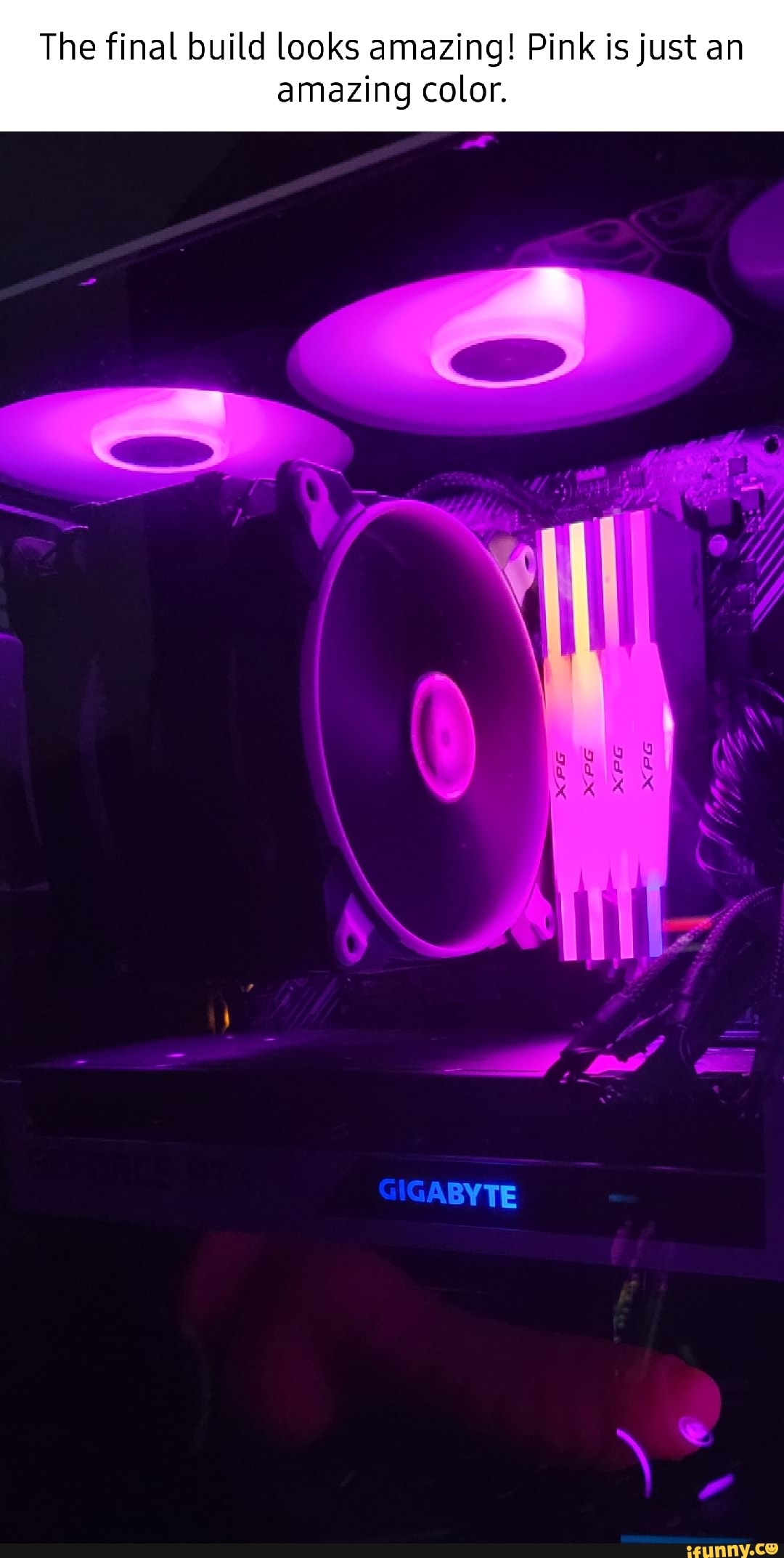 Pink Byte The final build looks amazing! Pink is just an amazing color. BYTE - iFunny