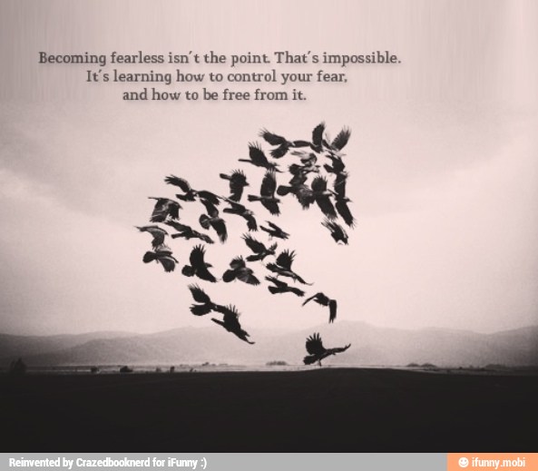 Becoming fearless isn't the point. That's impossible.
T's learning how to control your fear
and how to be free from it.