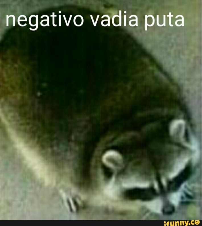 negativo vadia puta