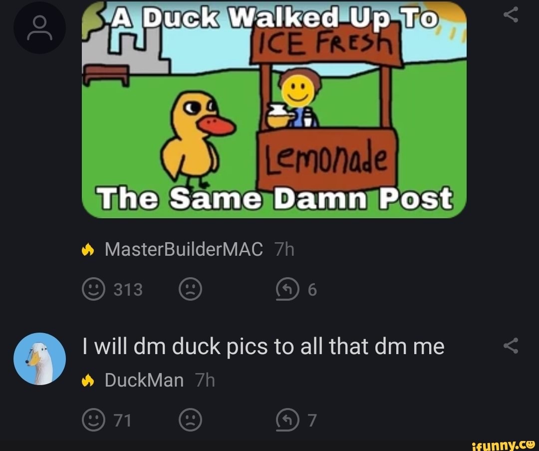 I will dm duck pics to all that dm me
