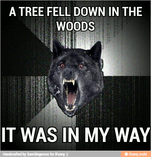 ATREE FELL DOWN IN THE
IT
WAS IN MY WAY