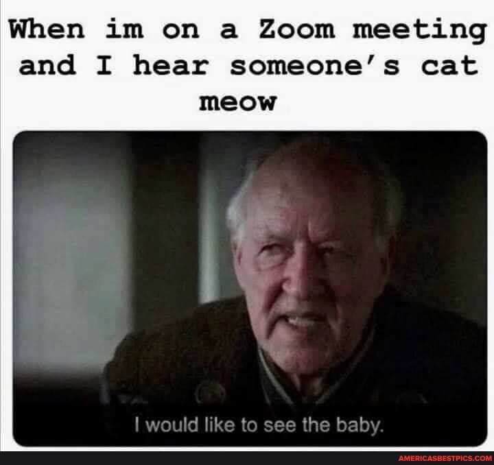 When im on a Zoom meeting
and I hear someone's cat meow
would like to see the hah