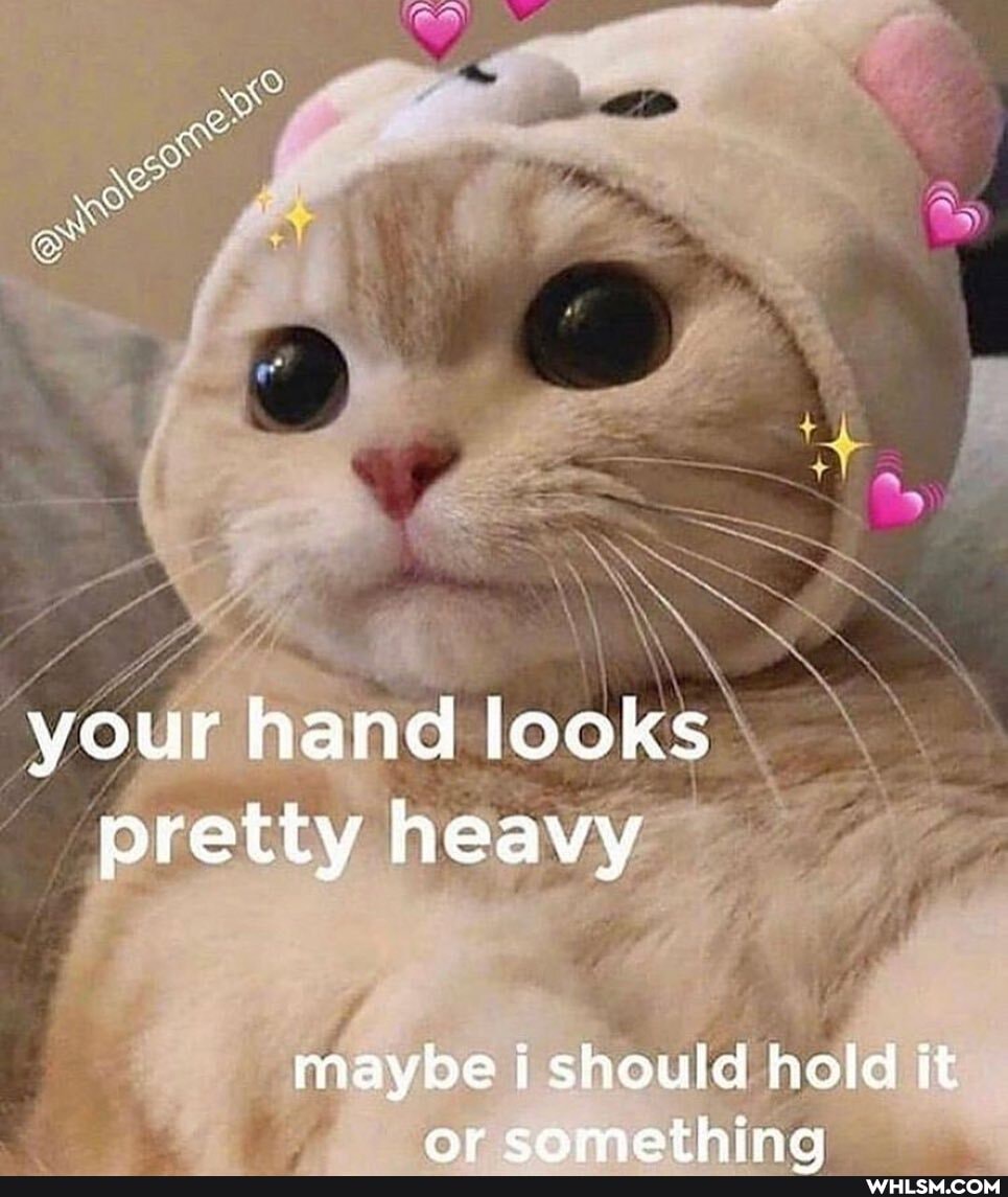 your hand looks pretty heavy
maybe i should hold it
nr comathina