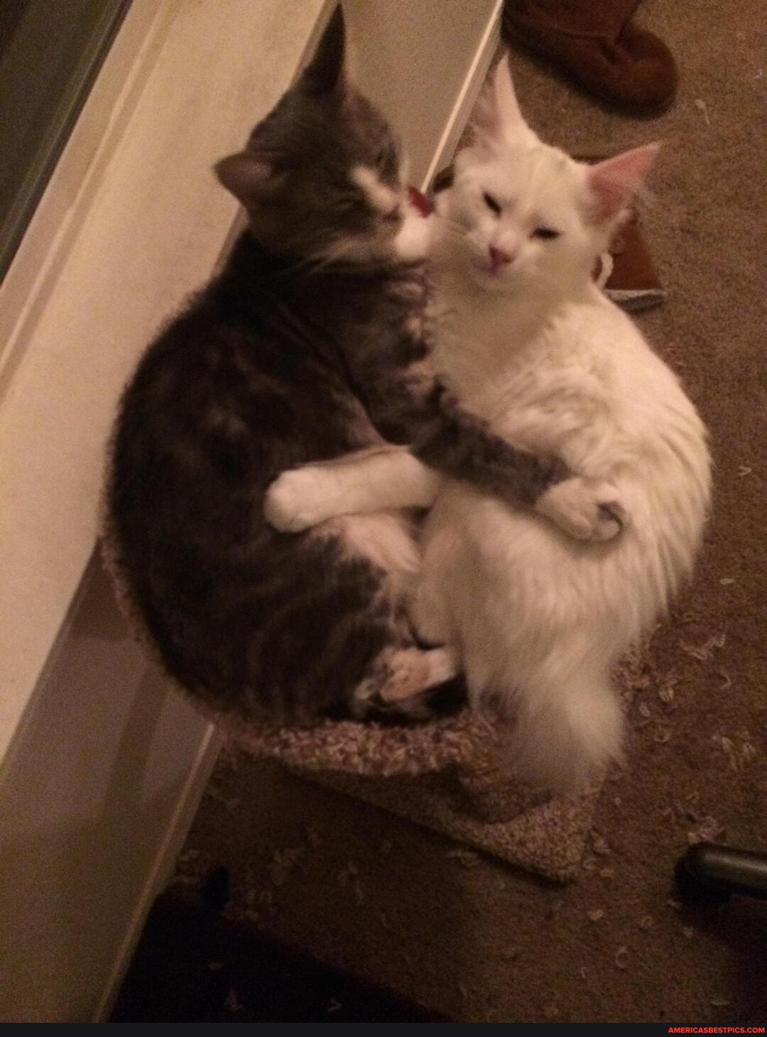 bros, bed, problems