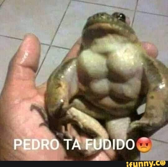 PEDRO TA FUDIDO